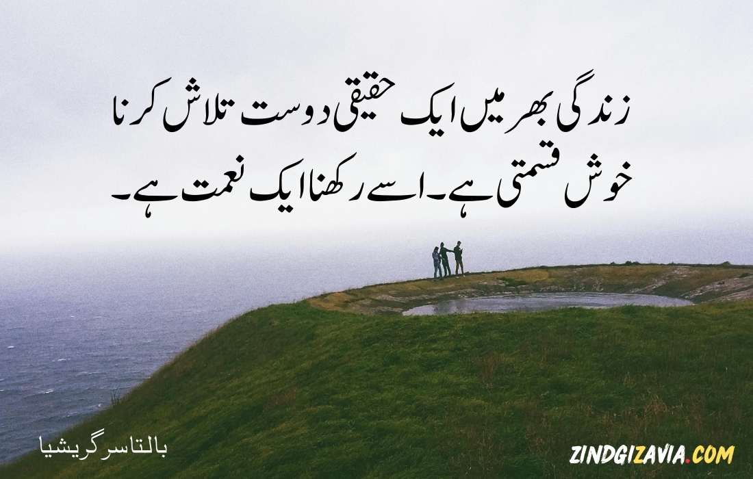 friendship quotes in urdu