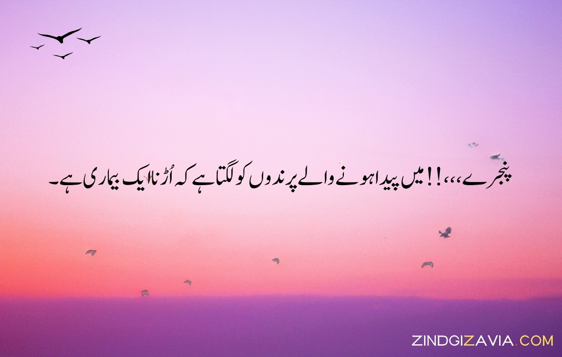 urdu quotes