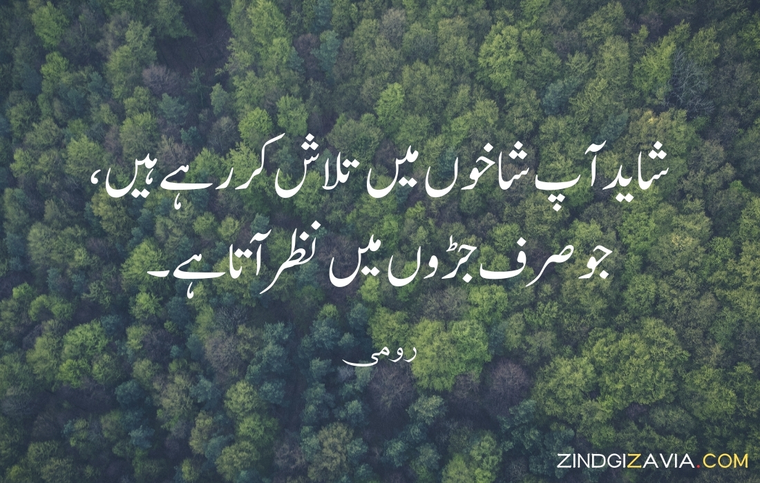 urdu quotes