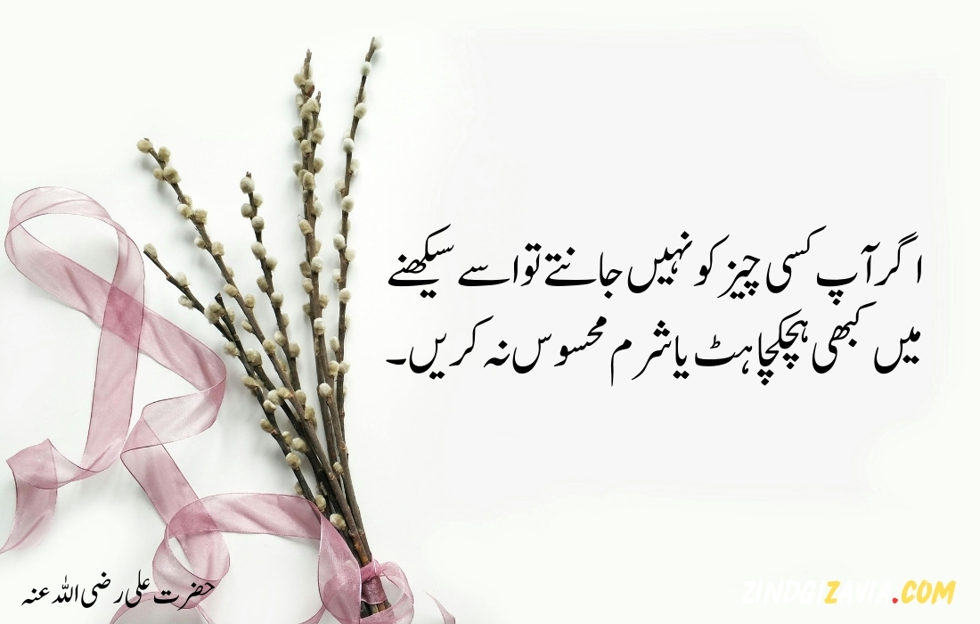 islamic quotes in urdu